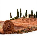 Umbria Travel Guide Rough Guides 11th Edition-0