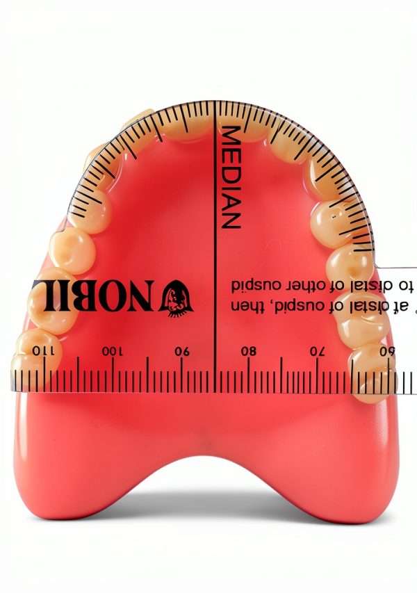 LeeMark Dental Flexible Denture Ruler Trubyte Dentsply 5869759940-0