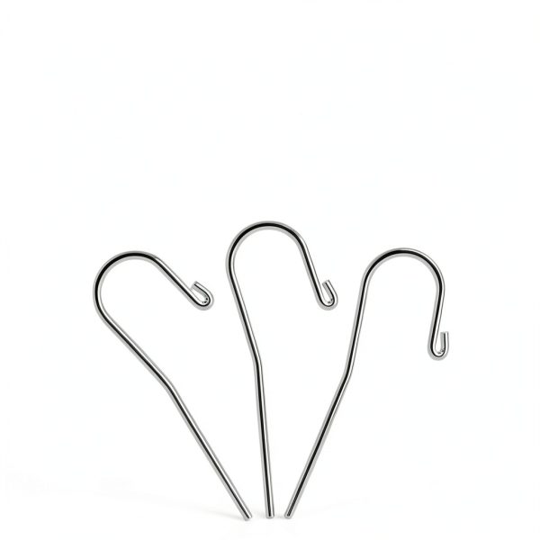 10Pcs Dental Lip Hooks for Apex Locator, Stainless Steel Tester Endo Instrument Tools Used for Dental Clinic, Lab Equipment - Acid and Rust Resistance|2 mm-6